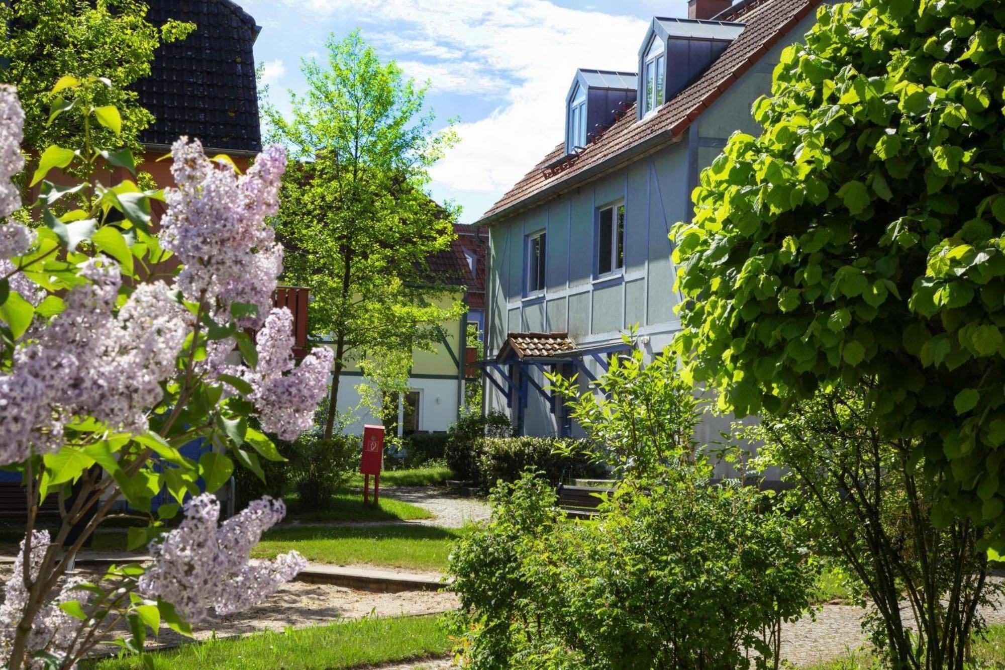 Holiday Complex Beech Resort Fleesensee G Hren Lebbin Gohren-Lebbin Bagian luar foto